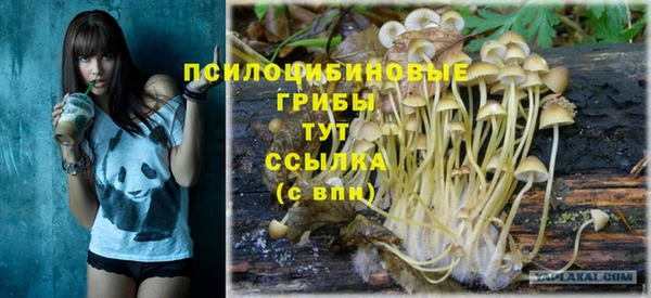 трава Киреевск