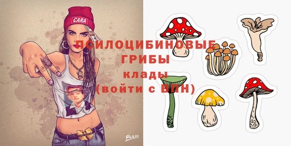 apvp Кинешма