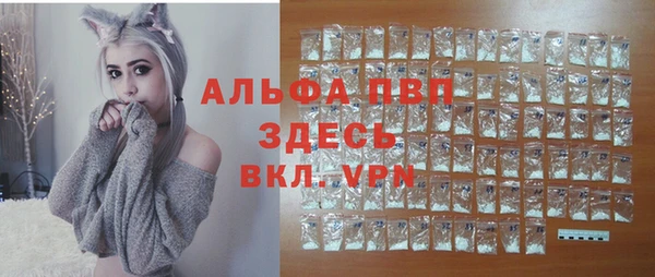 стаф Киренск