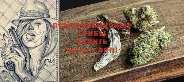 apvp Кинешма